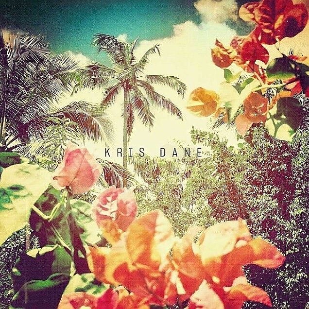 Kris Dane album U.N.S.U.I.